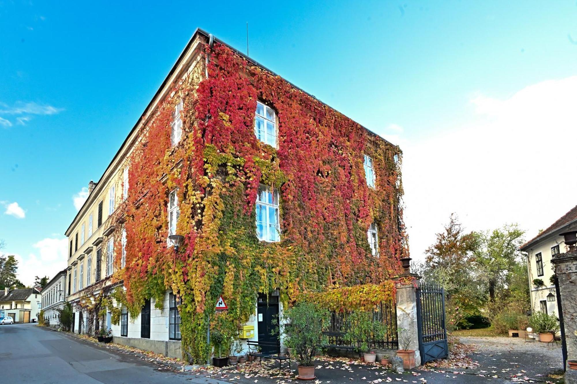 Schloss Hollenburg Aparte Apartments كريمس ان دير دوناو المظهر الخارجي الصورة